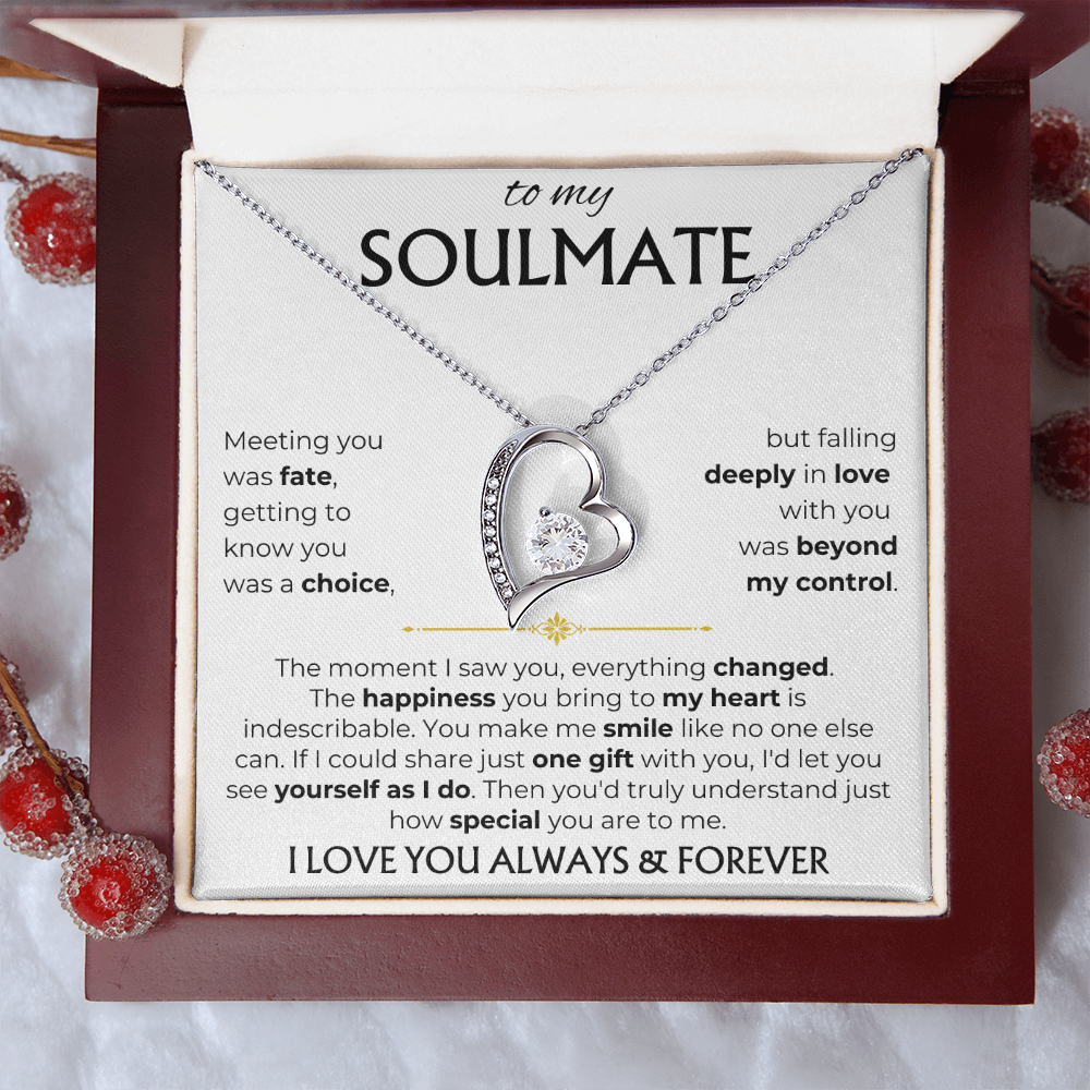 To My Soulmate | Meeting you was fate | Forever Love Necklace