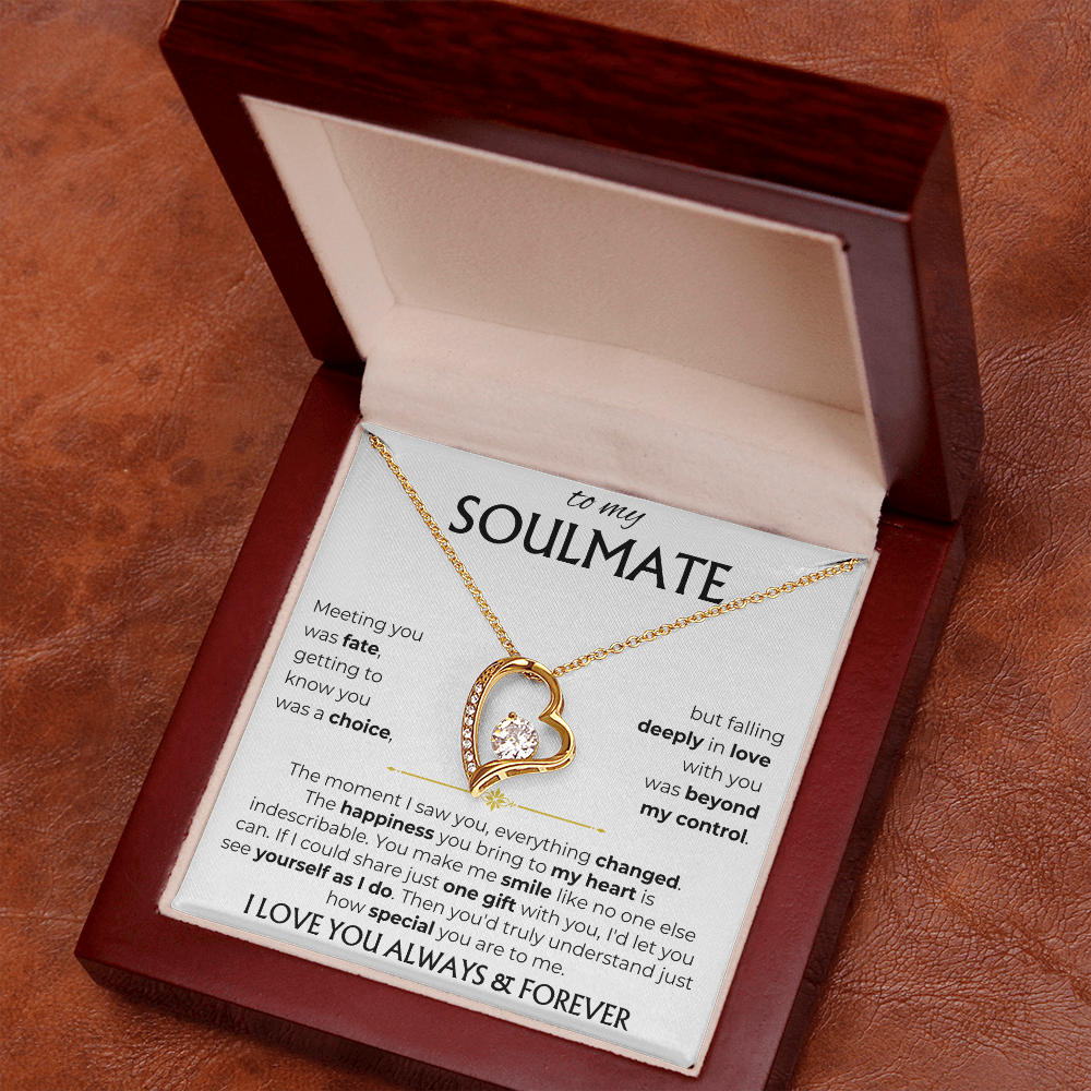 To My Soulmate | Meeting you was fate | Forever Love Necklace