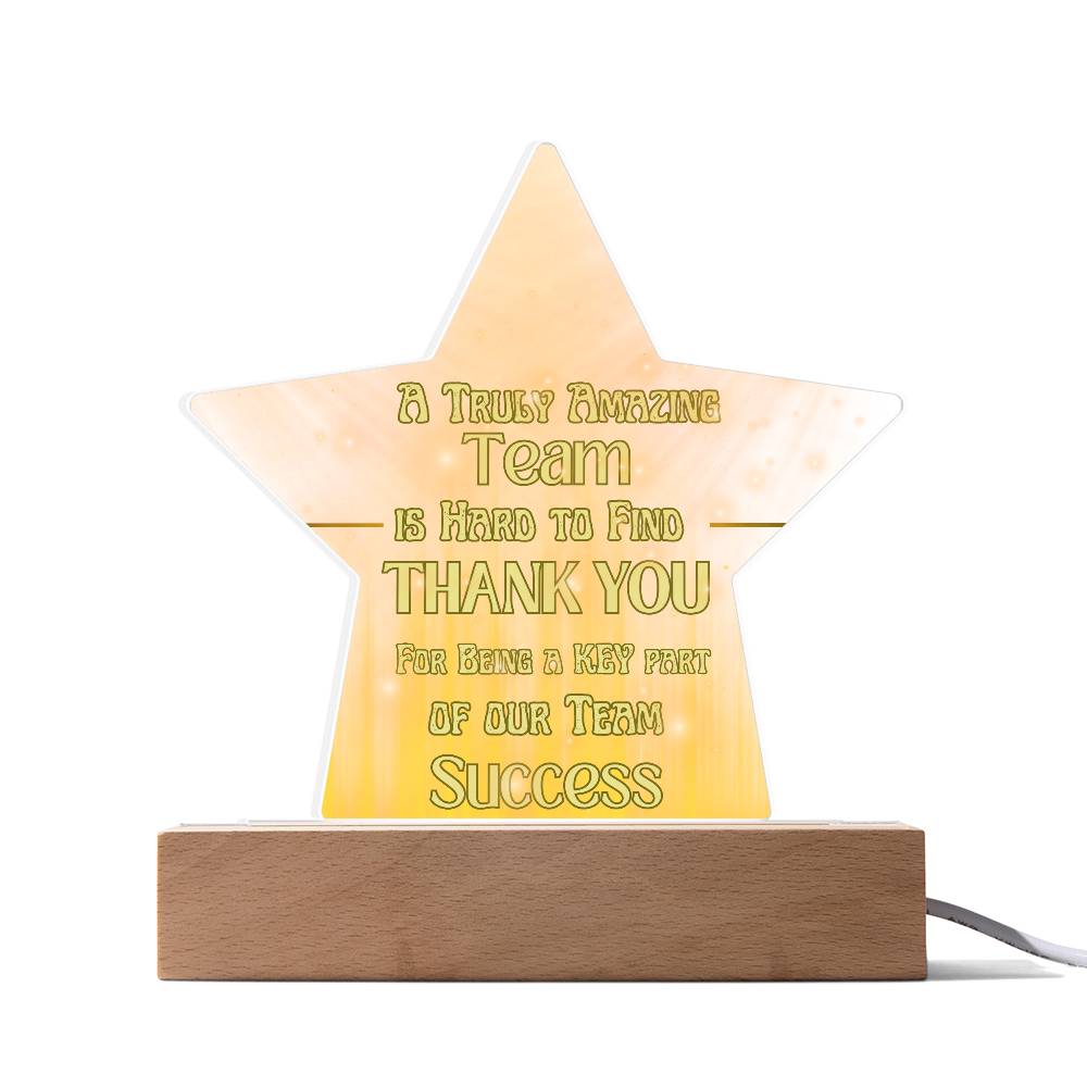 Team Success for Co-Workers / Employees  | Acrylic Star Plaque