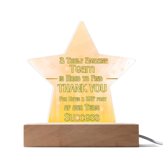 Team Success for Co-Workers / Employees  | Acrylic Star Plaque