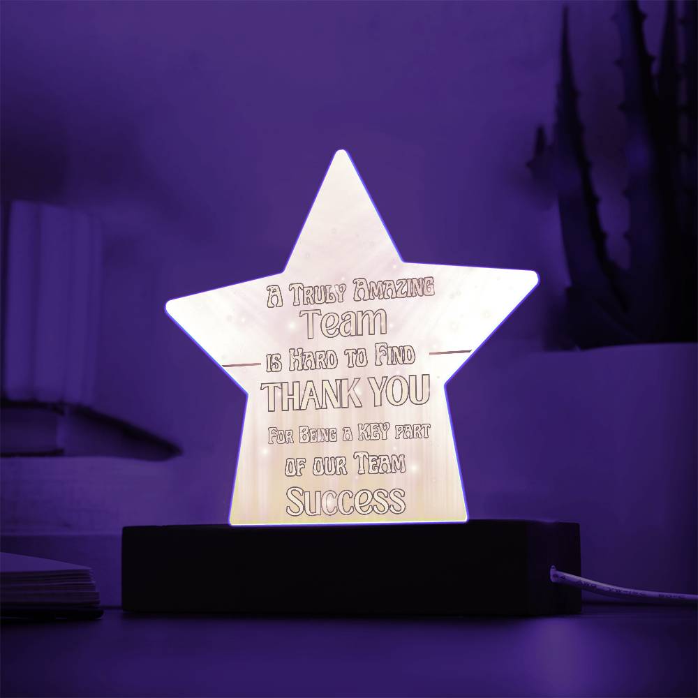 Team Success for Co-Workers / Employees  | Acrylic Star Plaque