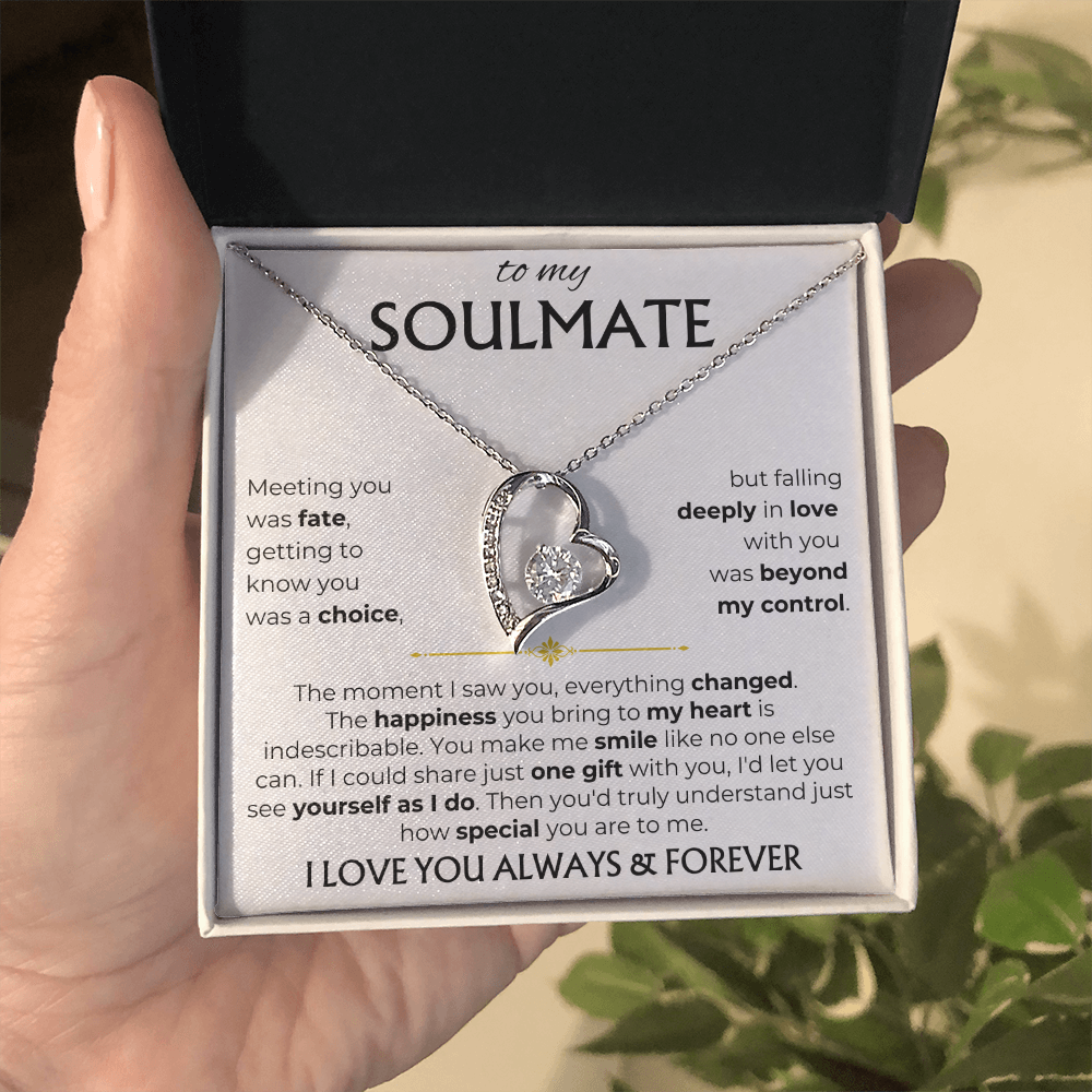 To My Soulmate | Meeting you was fate | Forever Love Necklace