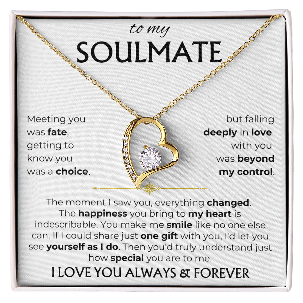 To My Soulmate | Meeting you was fate | Forever Love Necklace