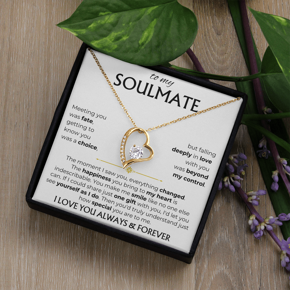 To My Soulmate | Meeting you was fate | Forever Love Necklace