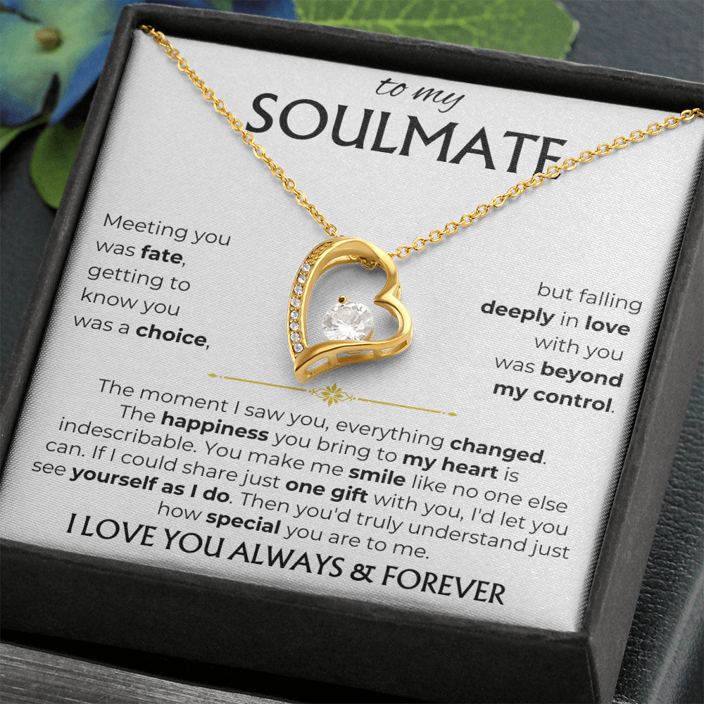 To My Soulmate | Meeting you was fate | Forever Love Necklace