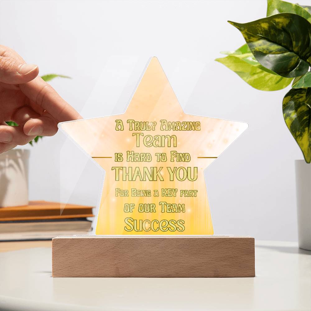 Team Success for Co-Workers / Employees  | Acrylic Star Plaque