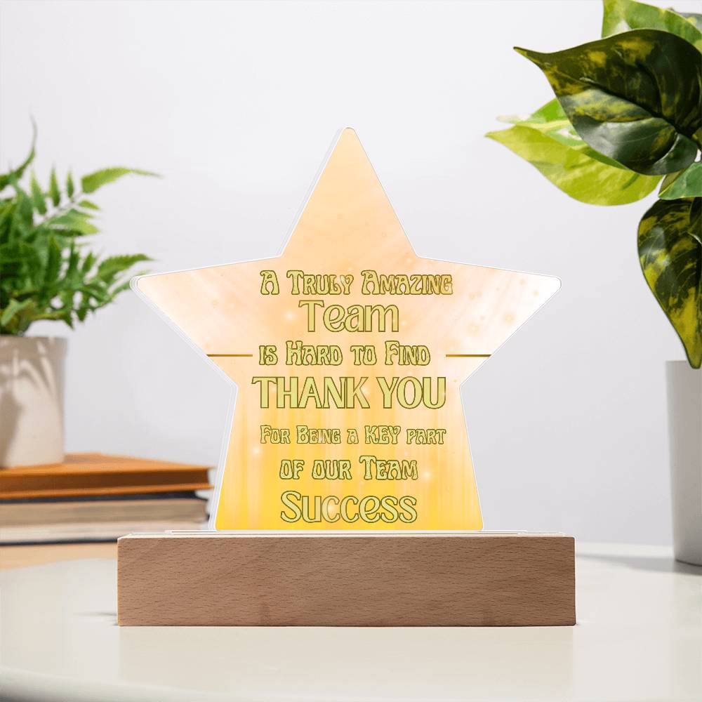 Team Success for Co-Workers / Employees  | Acrylic Star Plaque