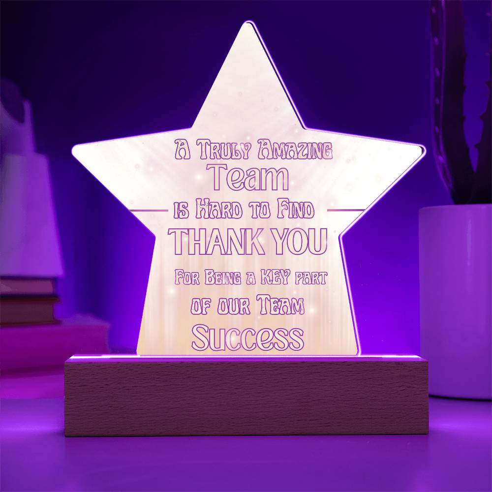 Team Success for Co-Workers / Employees  | Acrylic Star Plaque