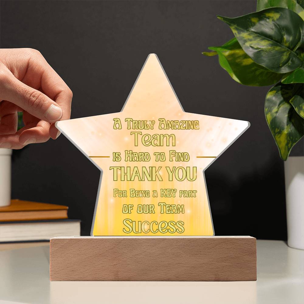 Team Success for Co-Workers / Employees  | Acrylic Star Plaque