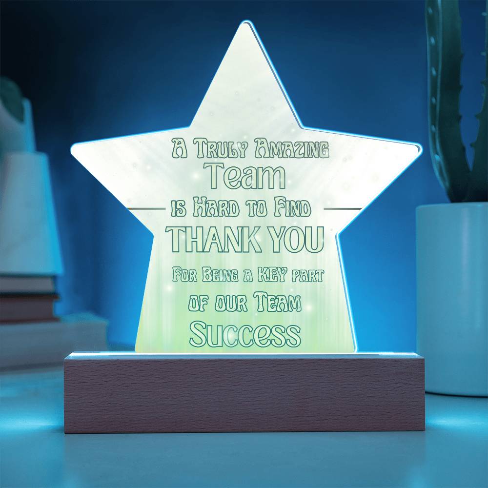 Team Success for Co-Workers / Employees  | Acrylic Star Plaque